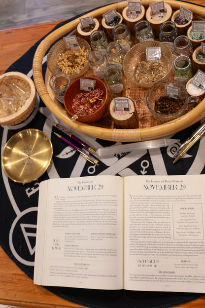 Witchy Fairy House Private Party Experience ✨